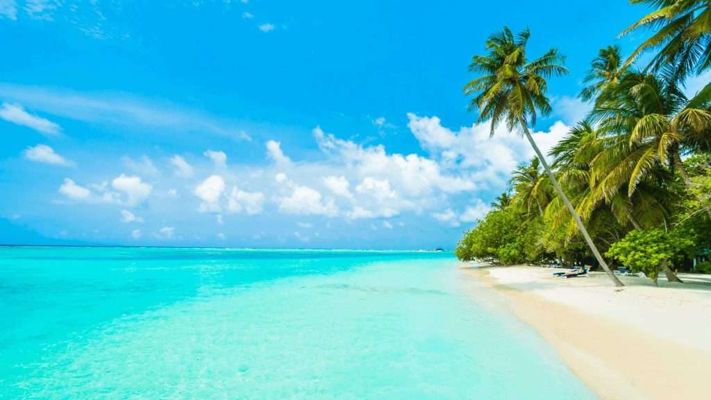 The Maldives: Inside the Most Luxurious Resorts in the Indian Ocean 3 Dreamy Maldives Resorts Image credit ©Together We Watch via Canva 3