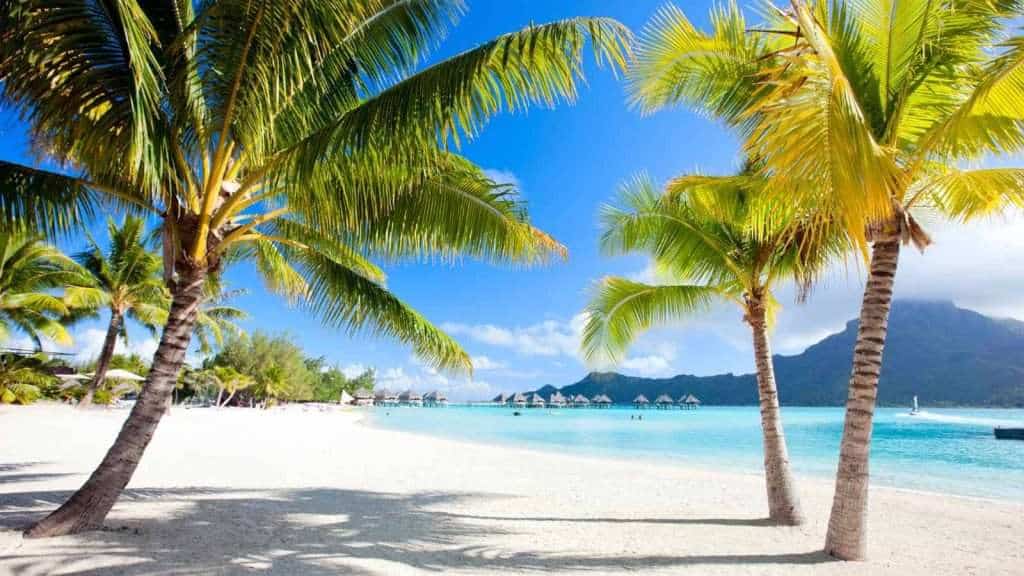 17 Overwater Bungalow Destinations That Aren’t in Bora Bora 16 Bora Bora Image credit ©blueorangestudio via Canva 1