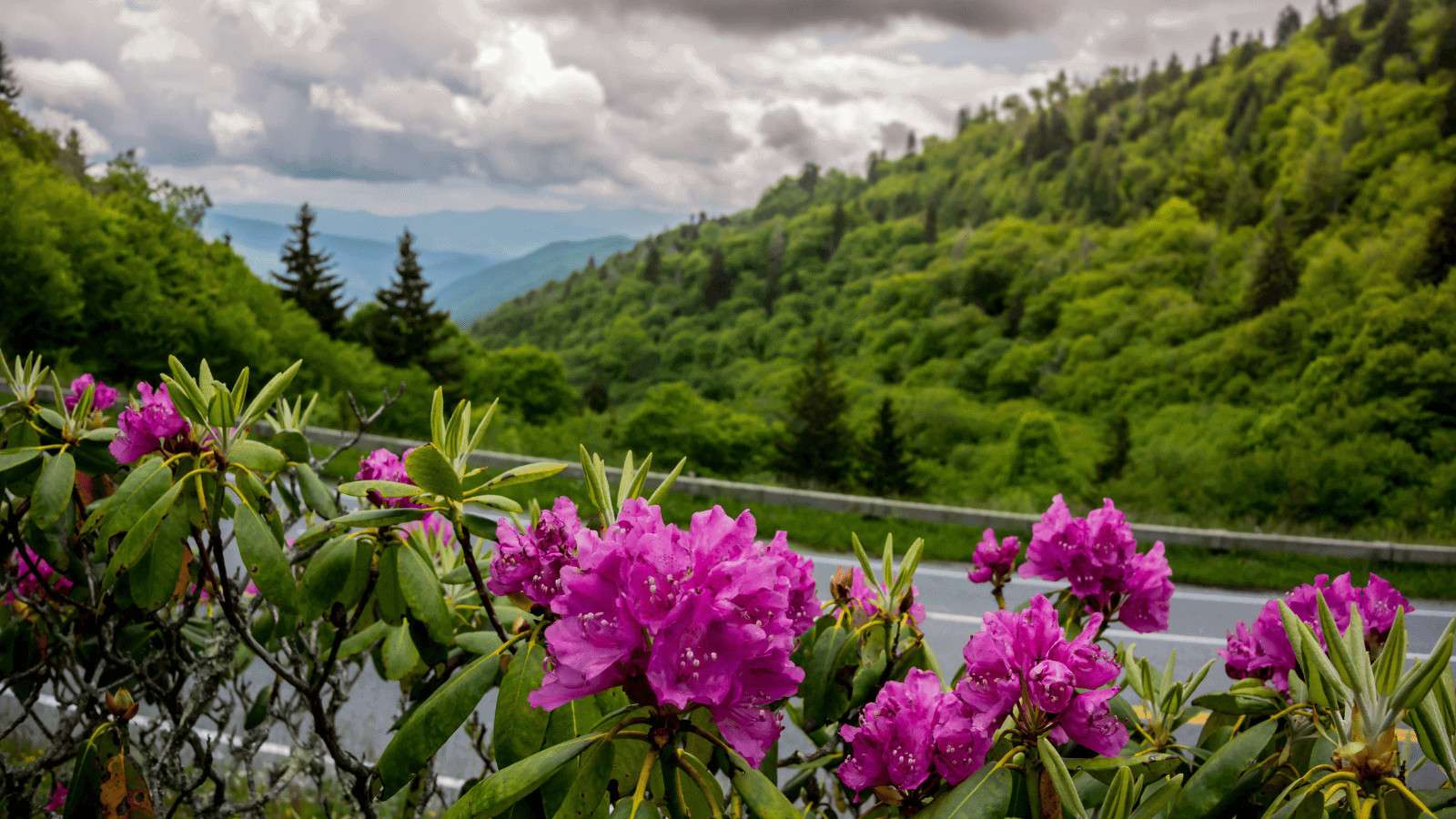 10 Things To Do in Townsend, TN: The Peaceful Side of The Smokies 18 10 Things To Do in Townsend, TN: The Peaceful Side of The Smokies
