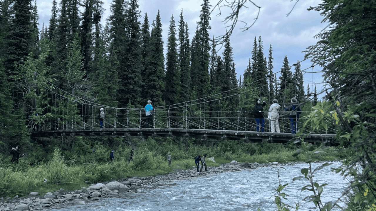 America’s Best Family Vacation Spots in Each State 3 Denali National Park Bridge