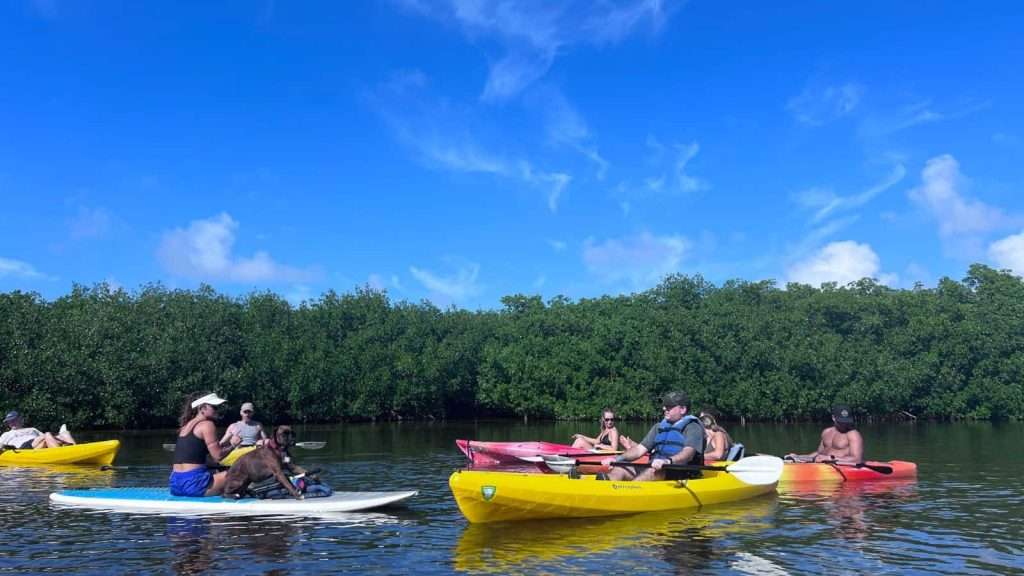 18 American Islands With Histories So Dark You’ll Question Visiting 13 Kayak tour Key West with Lucky Dog