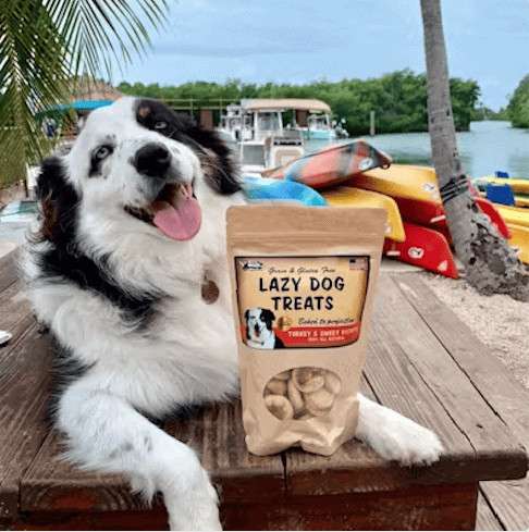 lazy dog kayak tour in key west with dog and dog treats