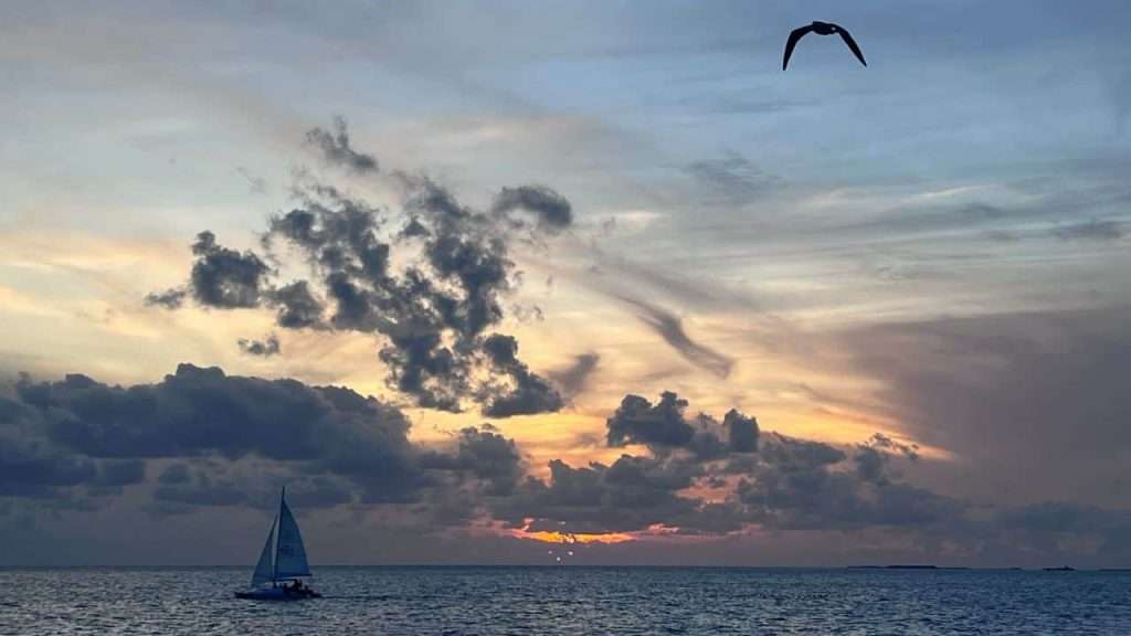 18 Eerily Silent U.S. Suburbs That Feel Straight Out of a Thriller 2 sunset sail cruise key west florida - rachel k belkin