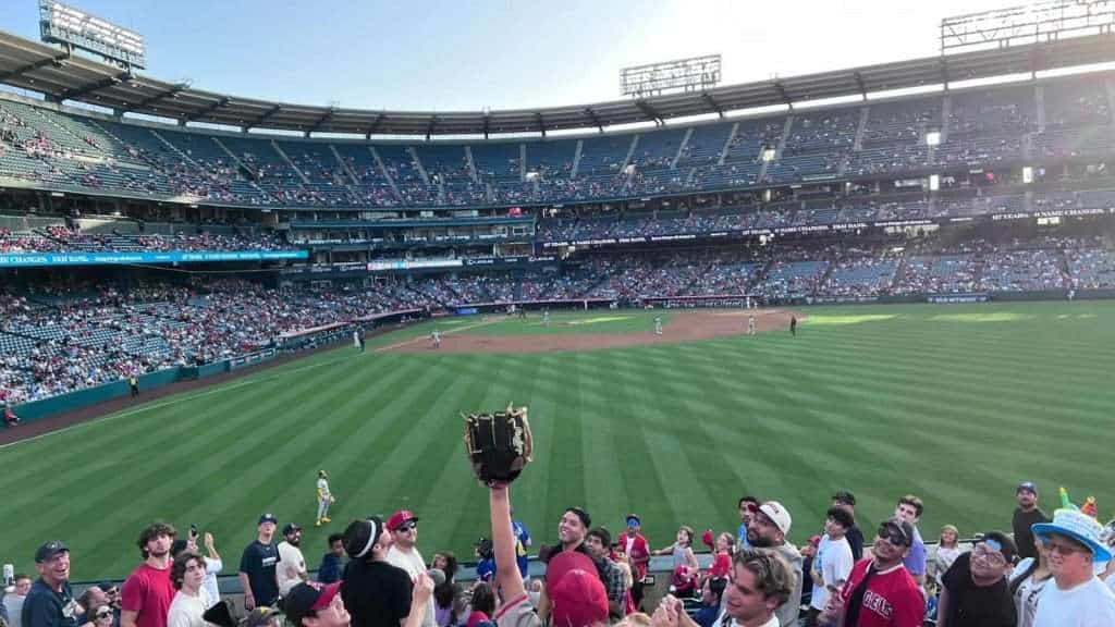 Before They Fly the Nest… Take the Trip: Family (Re)Connection Before the Next Chapter Begins 4 Angles Stadium fans catch baseball - Rachel K Belkin.