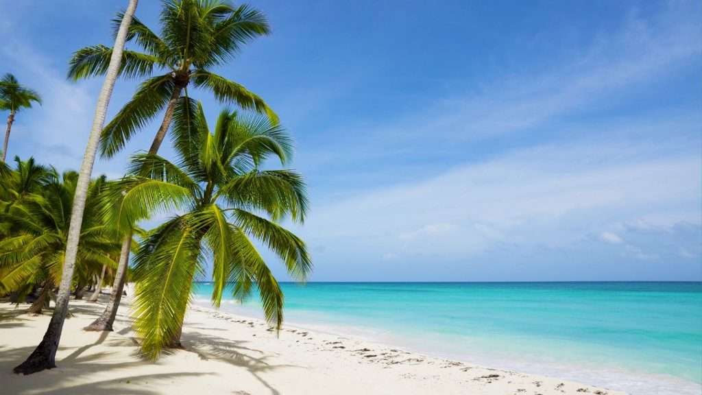 17 Overwater Bungalow Destinations That Aren’t in Bora Bora 12 The Bahamas beach place tree