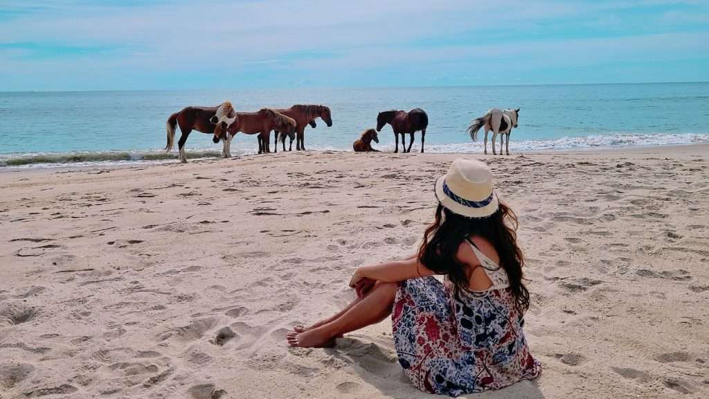 25 American Beaches Locals Call Beautiful by Day, Terrifying by Night 5 Assateague Island Maryland Virginia women horse animal beach