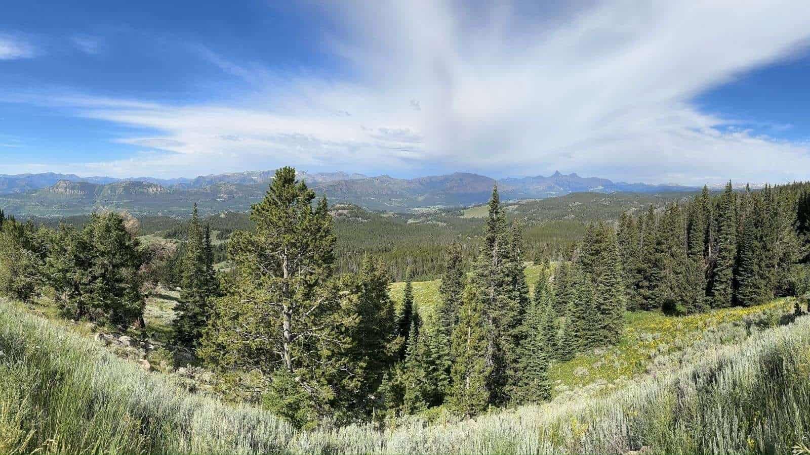 20 Amazing Road Trip Routes That Take You Through America’s Best-Kept Secrets 3 Beartooth Highway Montana and Wyoming forest place