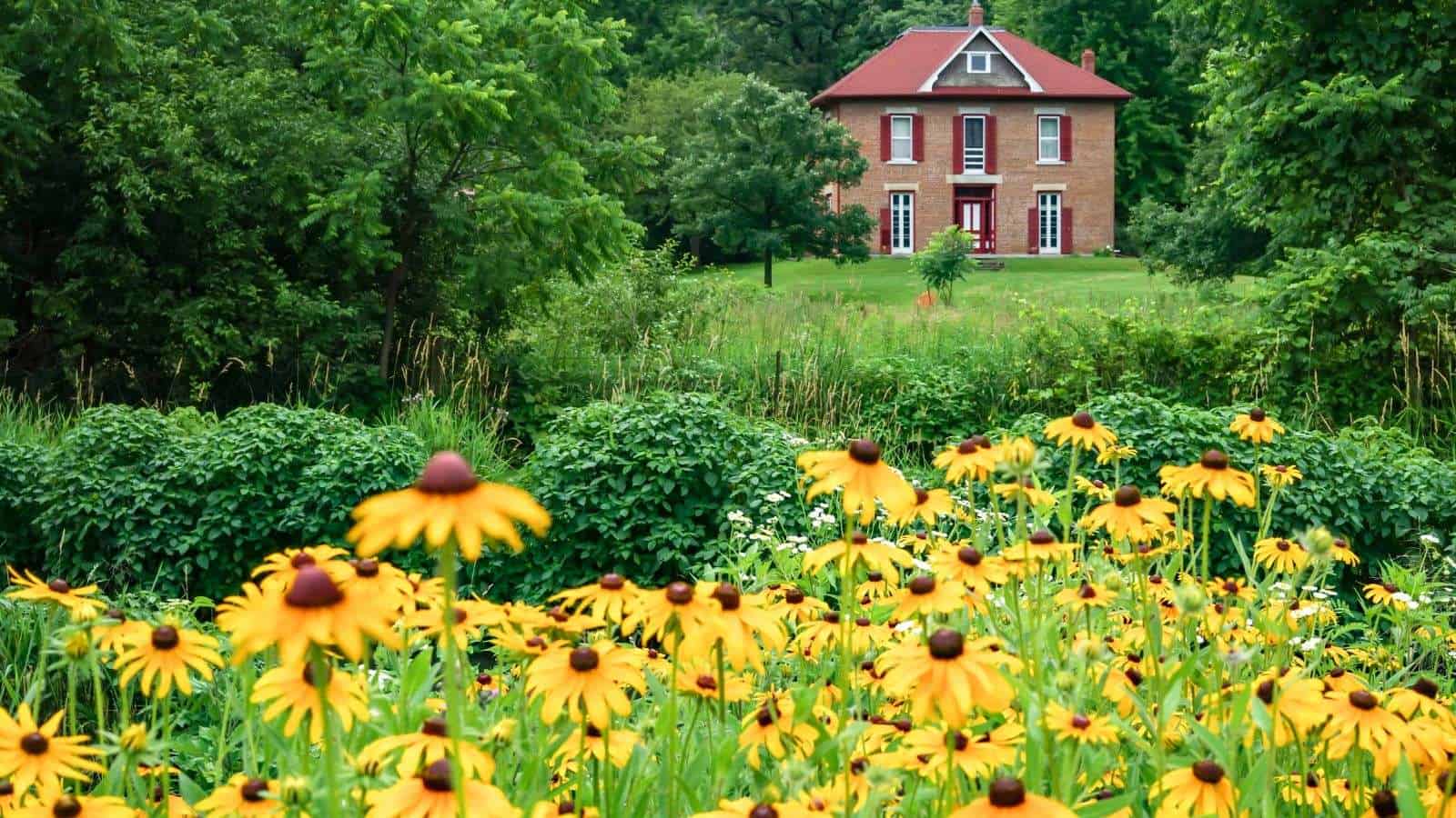 Explore the Top 8 Undiscovered Wine Regions in the U.S. That Rival France 28 Explore the Top 8 Undiscovered Wine Regions in the U.S. That Rival France