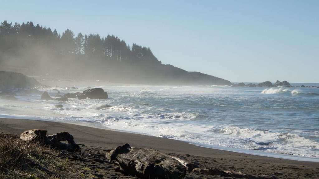 10 Secret Beaches Where the Crowds Can’t Find You 11 Enderts Beach California place travel