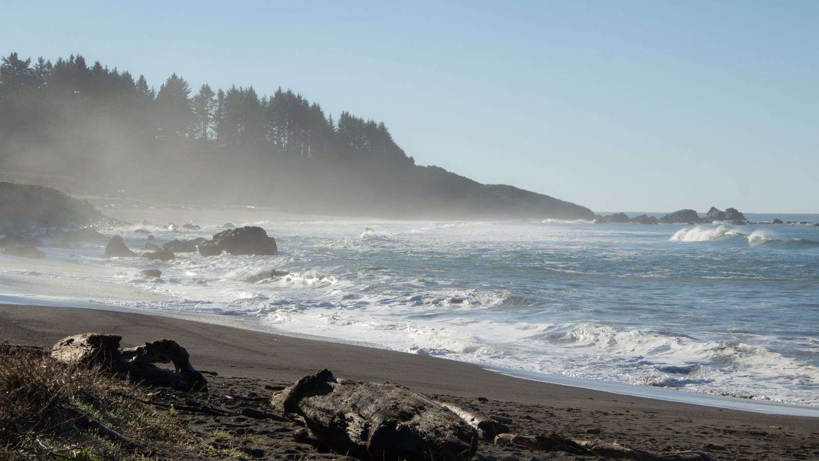 18 Secret U.S. Beaches That Locals Want to Keep to Themselves 2 Enderts Beach California place travel