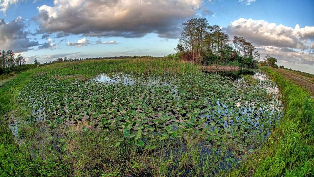 25 American Lagoons and Swamps Locals Warn You Not to Explore 14 Everglades National Park Florida place 1