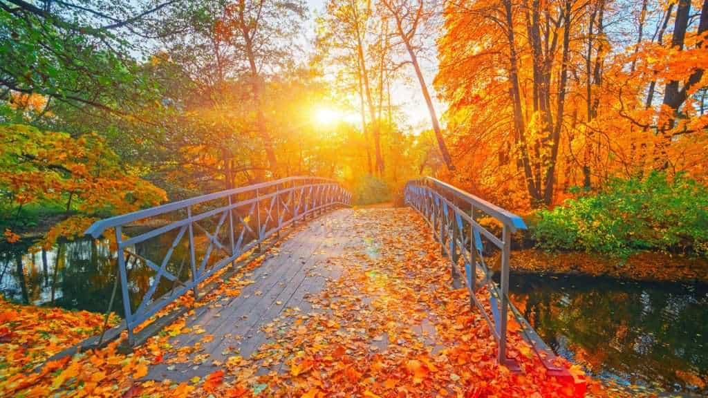 10 U.S. Retreats Perfect for Spiritual Renewal 4 Kripalu Center for Yoga Health Stockbridge Massachusetts place bridge