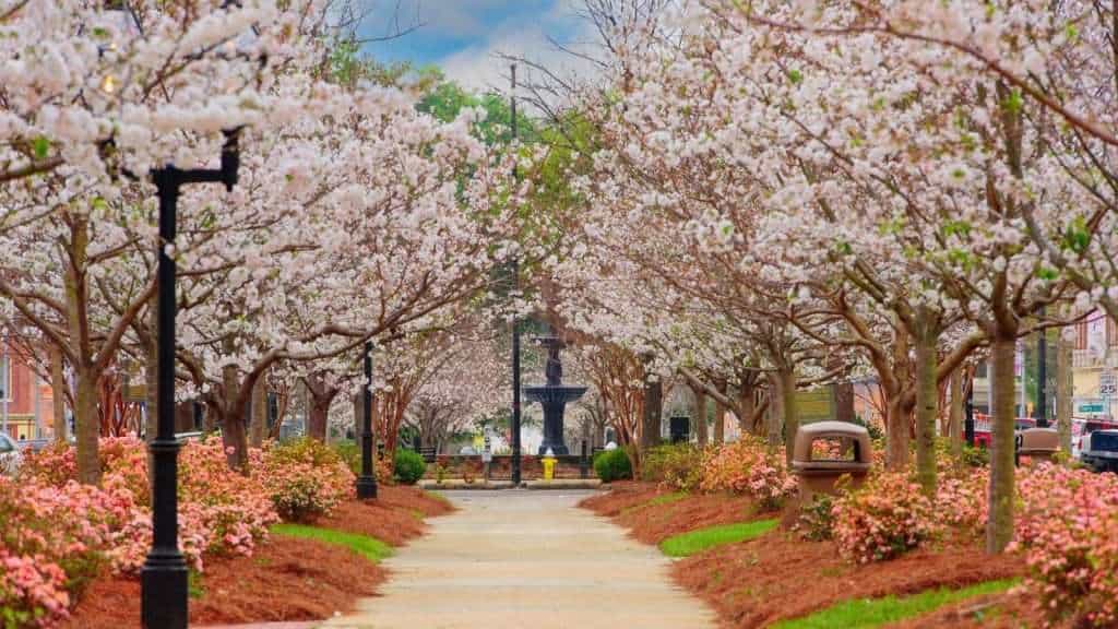 10 Off-the-Beaten-Path Cities with Vibrant Cultures That Help You Rediscover America 9 Macon Georgia place