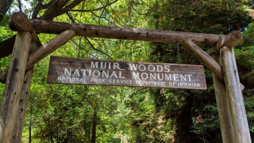 10 U.S. River Towns With Old World Charm That Will Steal Your Heart 2 Muir Woods National Monument California place
