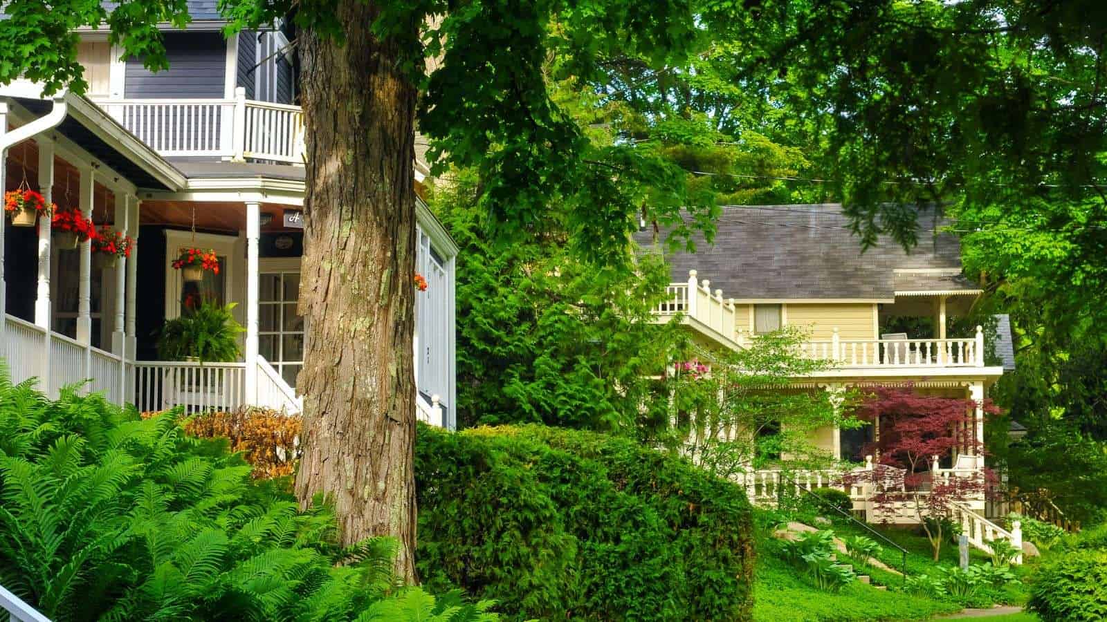 18 U.S. Small Towns That Locals Say Are Worth Exploring 13 Petoskey Michigan place