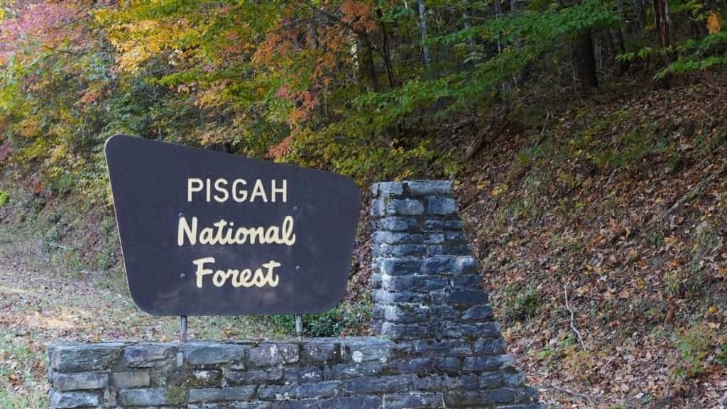 10 U.S. River Towns With Old World Charm That Will Steal Your Heart 8 Pisgah National Forest North Carolina place travel