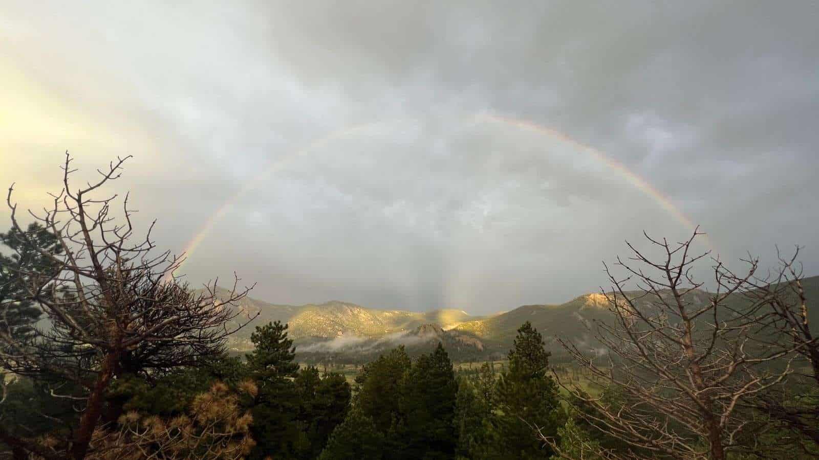 8 U.S. Nature Reserves That Offer Unmatched Wildlife Watching Opportunities 5 Rocky Mountain National Park Colorado place