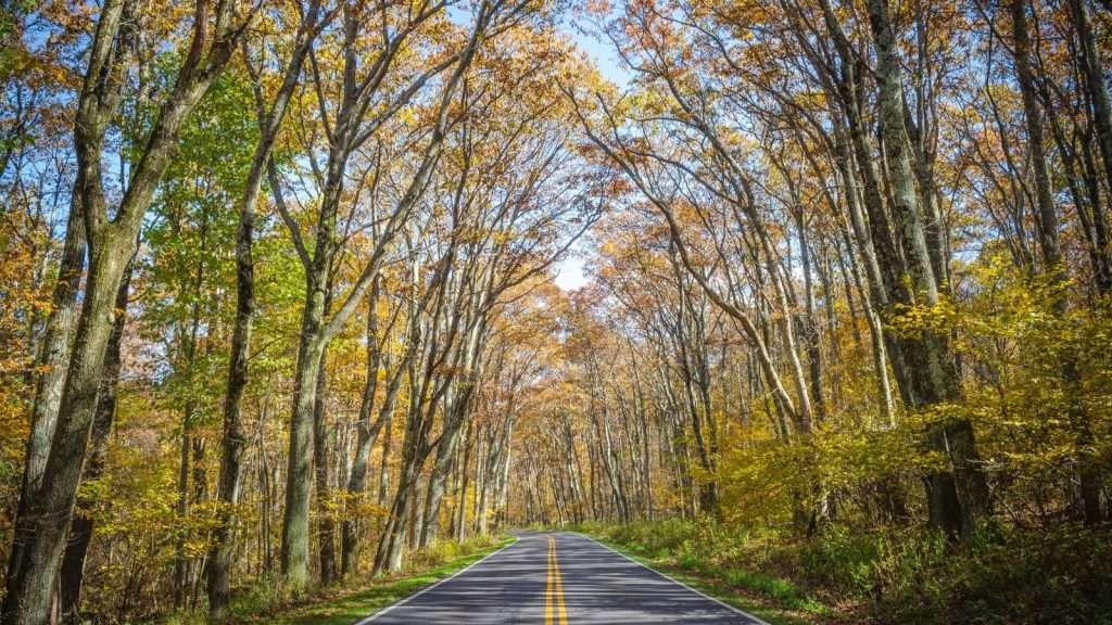 10 U.S. River Towns With Old World Charm That Will Steal Your Heart 11 Shenandoah National Park Virginia place roadtrip 1