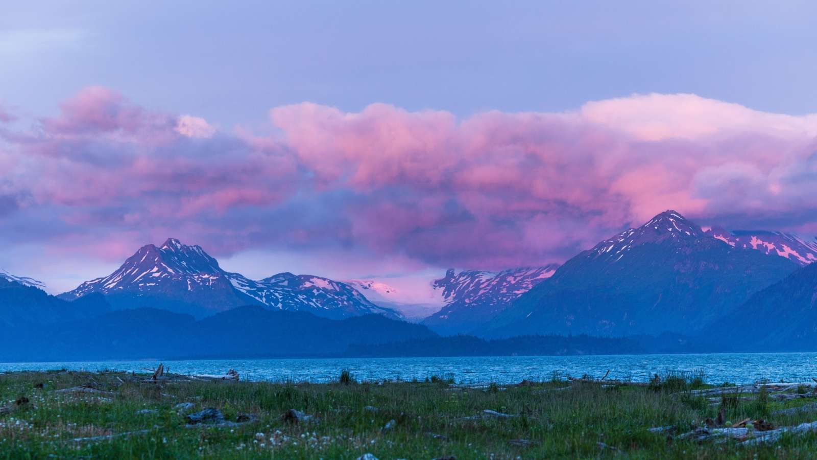 8 U.S. Nature Reserves That Offer Unmatched Wildlife Watching Opportunities 4 Shutterstock 2446545079