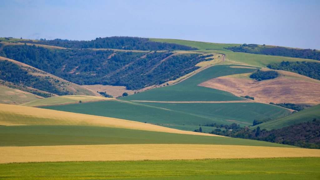 Explore the Top 8 Undiscovered Wine Regions in the U.S. That Rival France 3 Walla Walla Valley Washington place