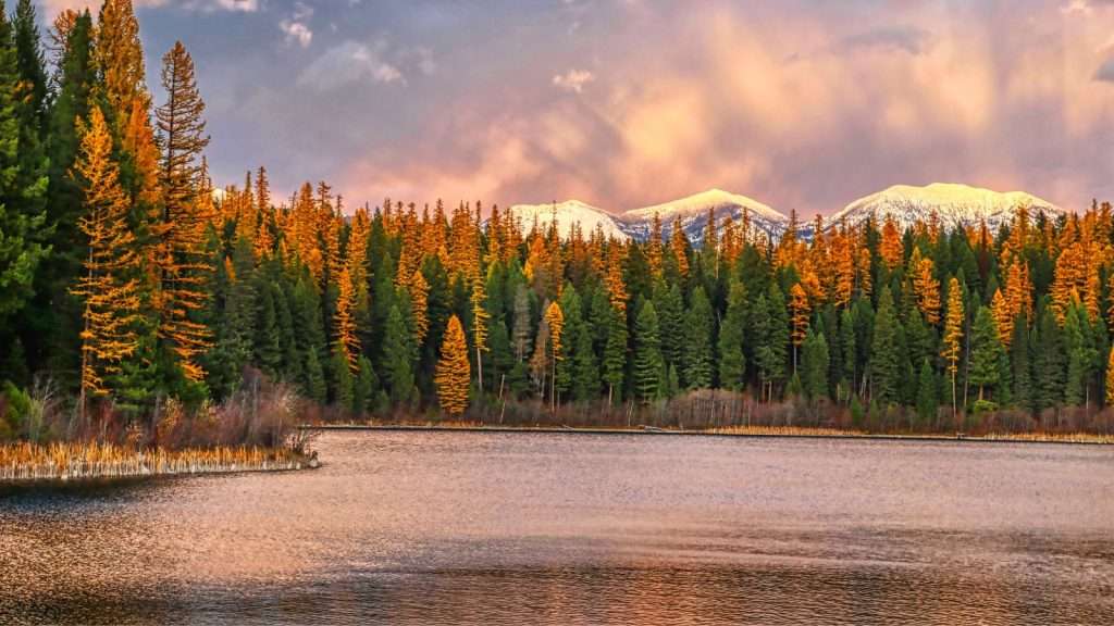 20 Gorgeous U.S. Escapes That Still Feel Untouched 7 Whitefish Montana place beach