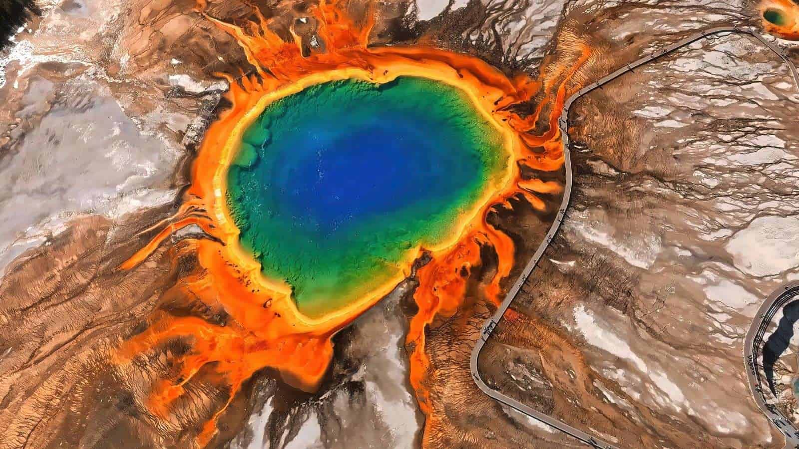 8 U.S. Nature Reserves That Offer Unmatched Wildlife Watching Opportunities 2 Yellowstone National Park Wyoming place travel