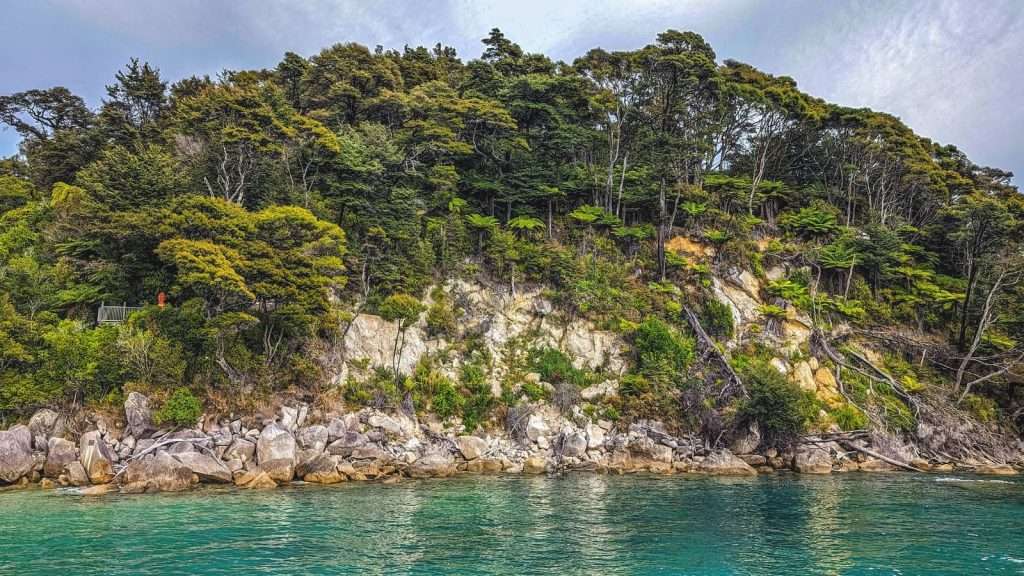 14 Unique Facts About New Zealand You Probably Didn’t Know 2 Abel Tasman National Park New Zealand place