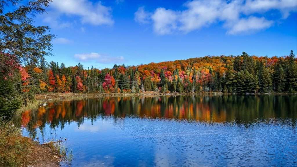 18 Hidden Gems in Canada Where You Can Escape the Modern World 15 Algonquin Provincial Park Ontario place