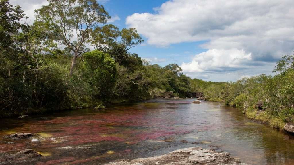 10 South American Natural Wonders Away From the Crowds 10 Cano Cristales Colombia place river