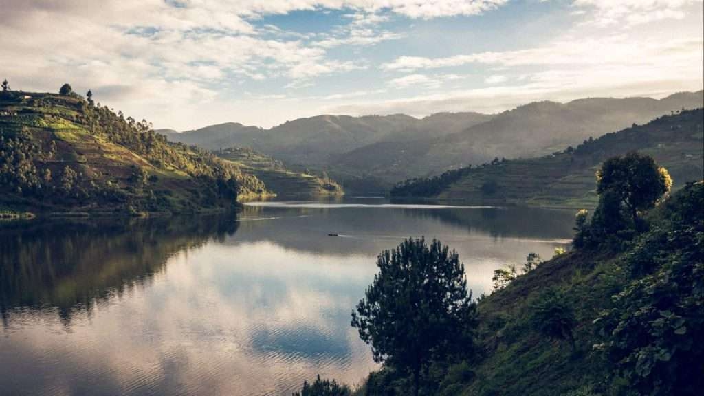 10 African Safaris That Go Beyond the Big Five 2 Gorilla Trekking in Bwindi Impenetrable Forest Uganda