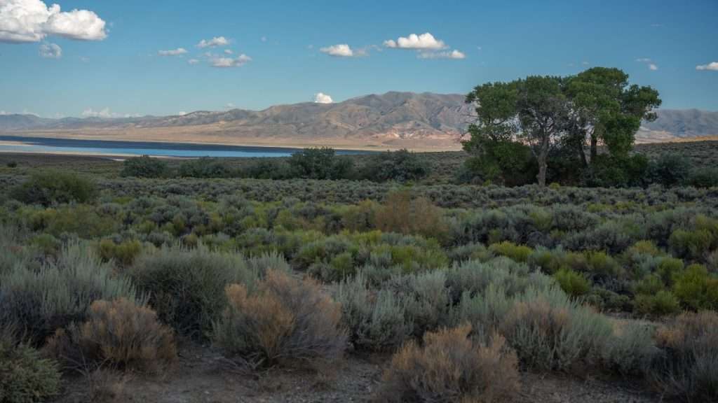 10 Underrated U.S. National Parks That Offer Adventure and Tranquility 4 Great Basin Desert Nevada place