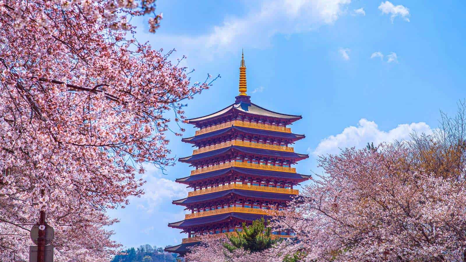 20 Lesser-Known Travel Destinations That Are Ideal for Multigenerational Trips 9 Gyeongju South Korea place