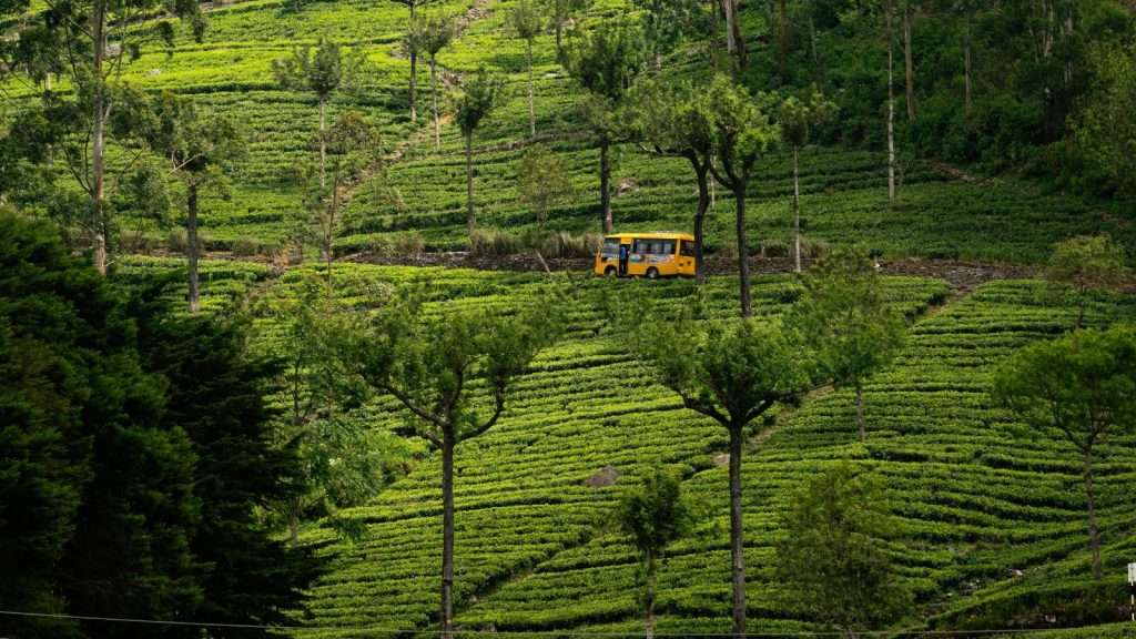 15 Exotic Destinations Beyond the Caribbean That Will Amaze You 13 Haputale Sri Lanka place