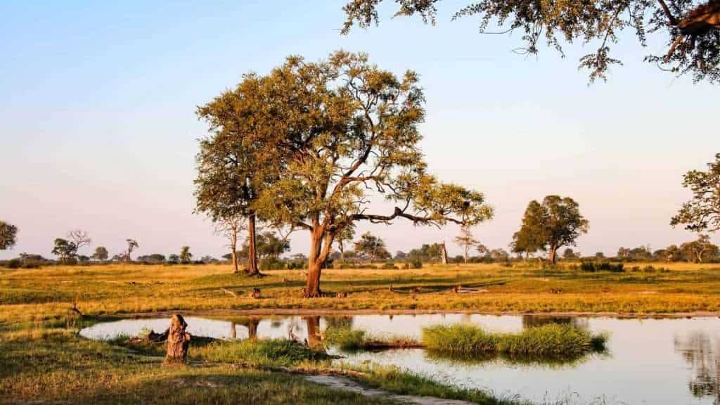 10 African Safaris That Go Beyond the Big Five 7 Hwange National Park Zimbabwe place