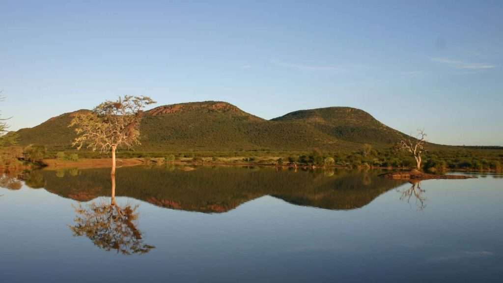10 African Safaris That Go Beyond the Big Five 8 Madikwe Game Reserve South Africa place