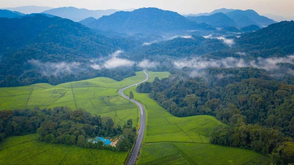 10 African Safaris That Go Beyond the Big Five 11 Nyungwe Forest National Park Rwanda place