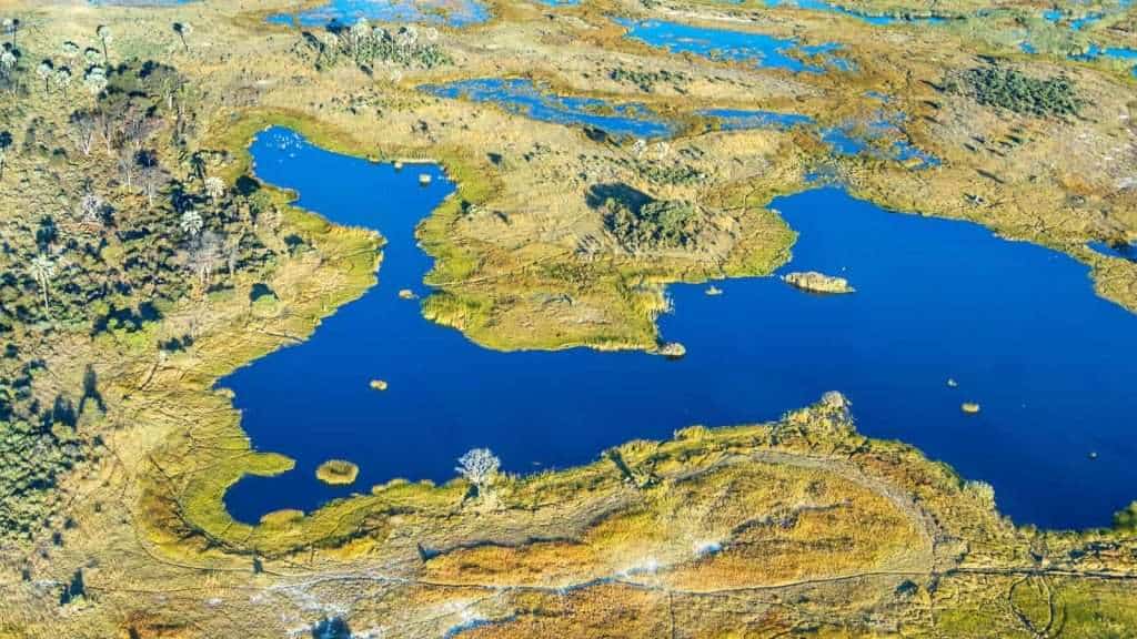 10 African Safaris That Go Beyond the Big Five 4 Okavango Deltas Water Safari Botswana