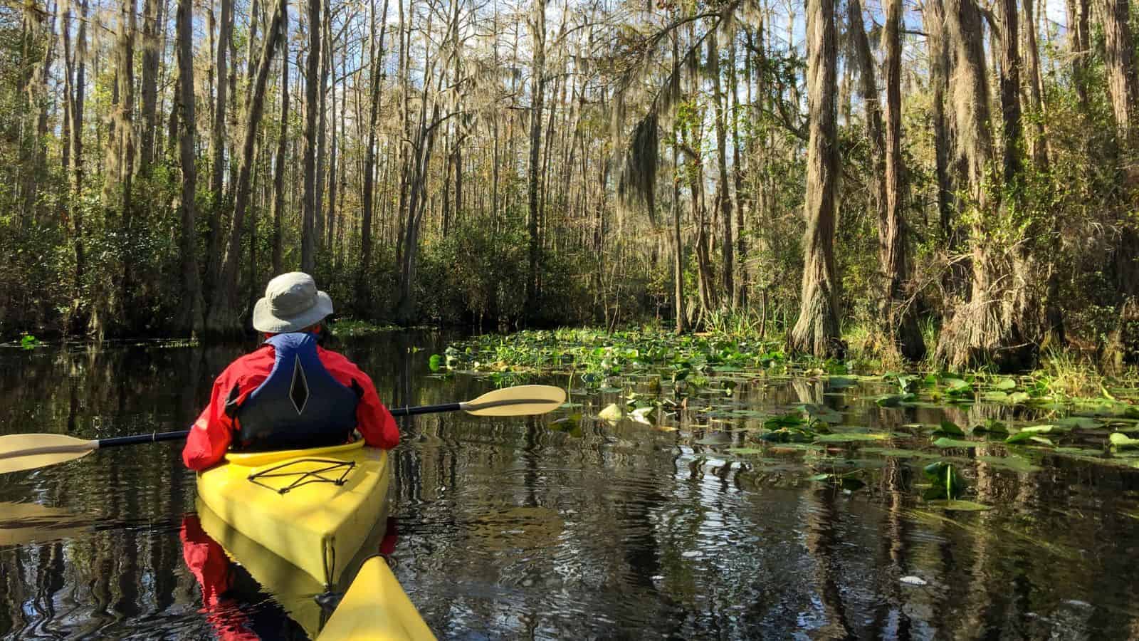 25 American Lagoons and Swamps Locals Warn You Not to Explore 25 25 American Lagoons and Swamps Locals Warn You Not to Explore