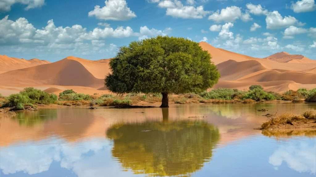 10 African Safaris That Go Beyond the Big Five 6 Sossusvlei and Namib Desert Namibia