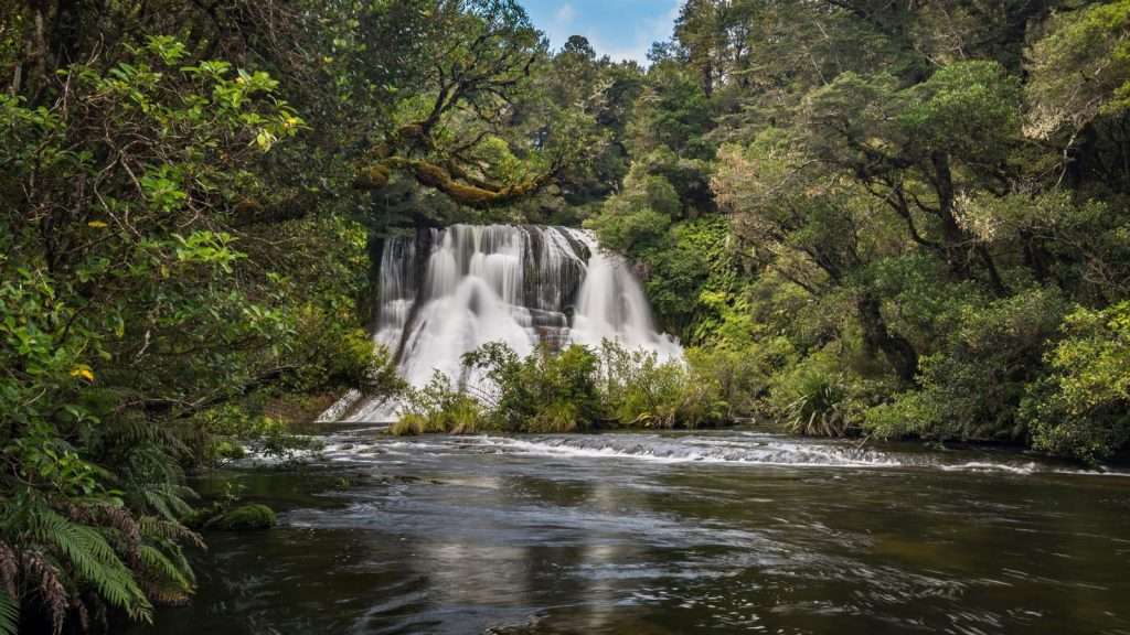 14 Unique Facts About New Zealand You Probably Didn’t Know 14 Te Urewera New Zealand river place travel