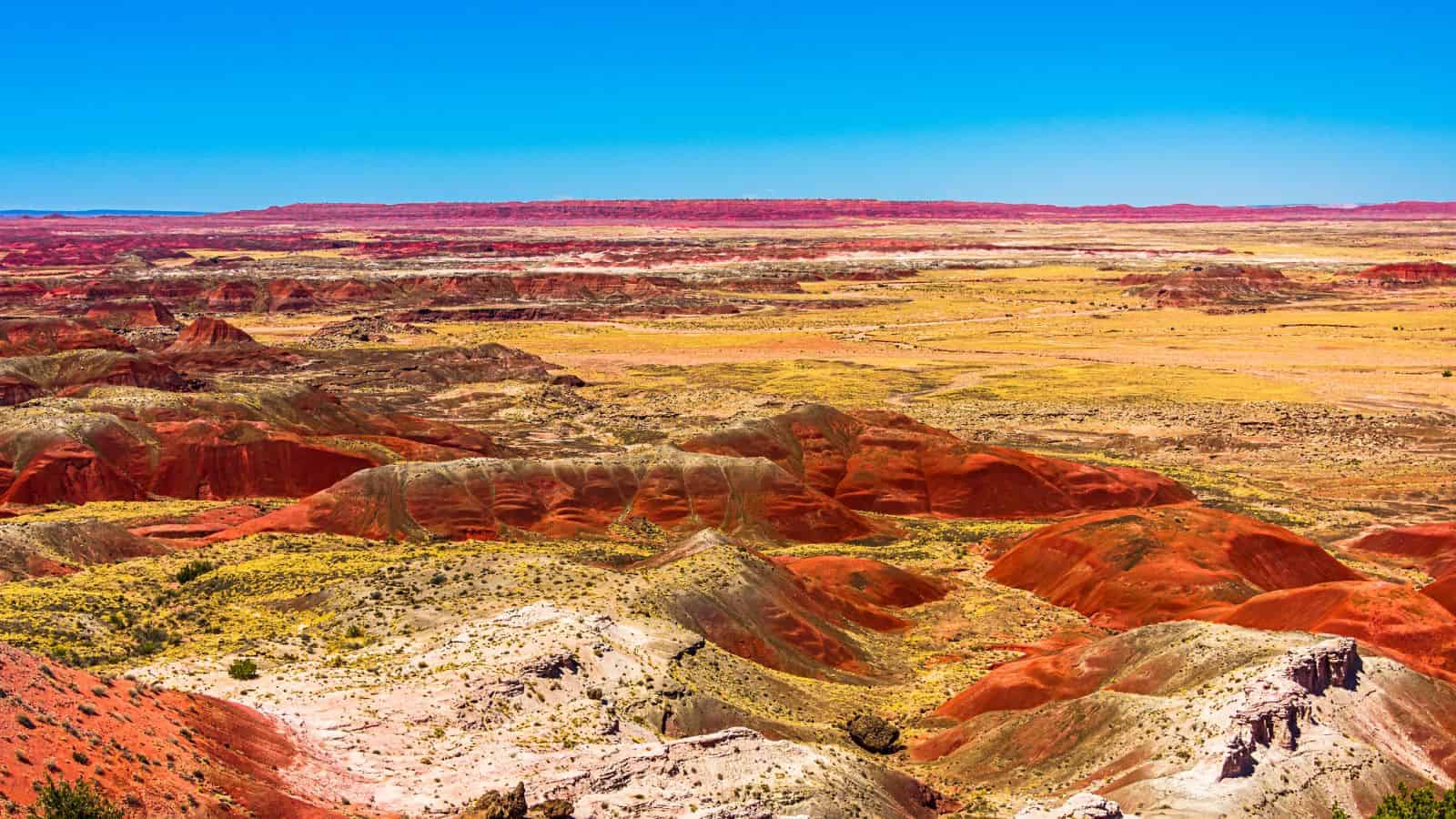 22 Desert Spots That Look Empty Until You Realize They Aren’t 29 22 Desert Spots That Look Empty Until You Realize They Aren’t