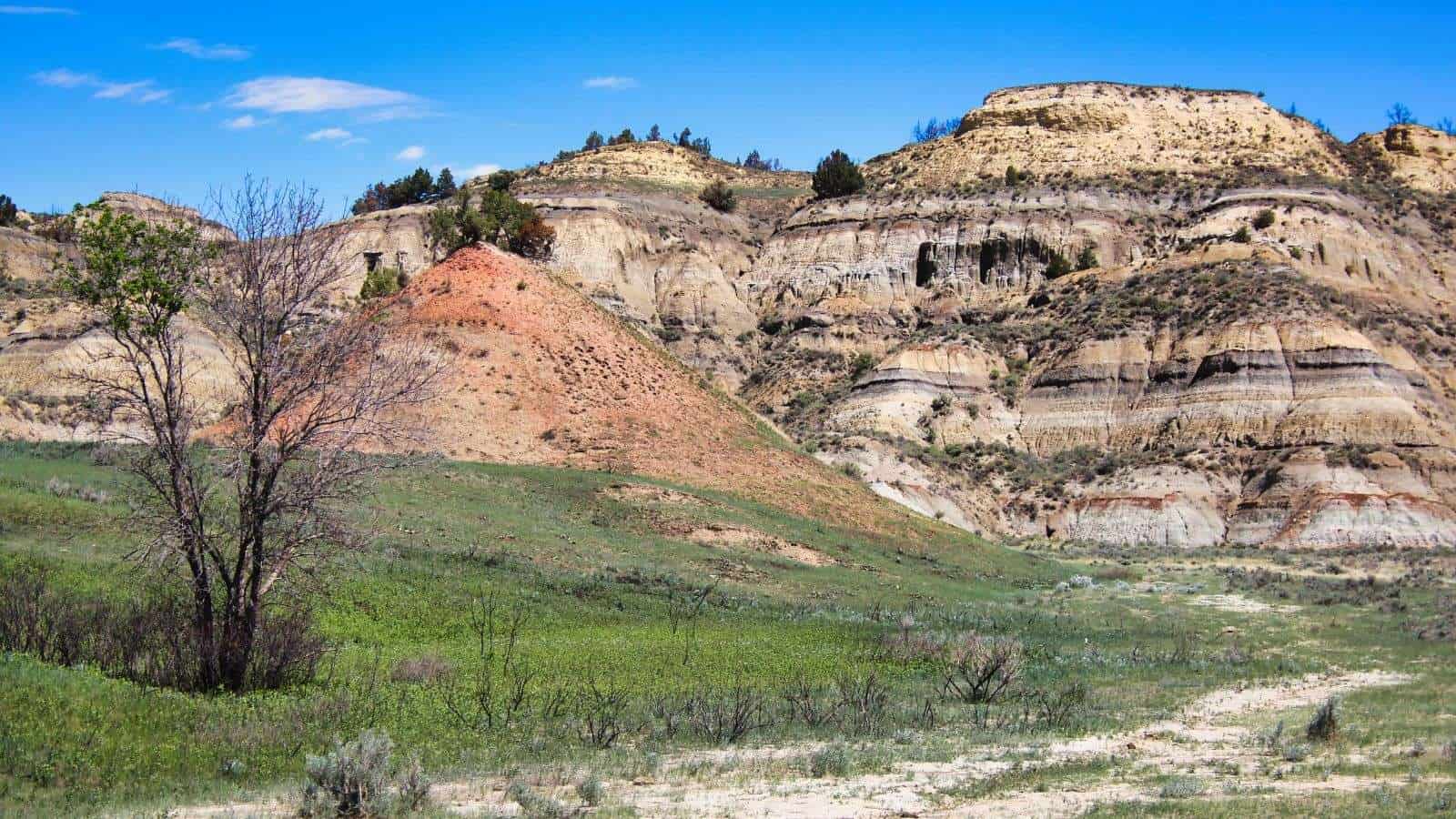 18 Quiet U.S. National Parks That Locals Prefer Over the Big Names 14 Theodore Roosevelt National Park North Dakota place mountain