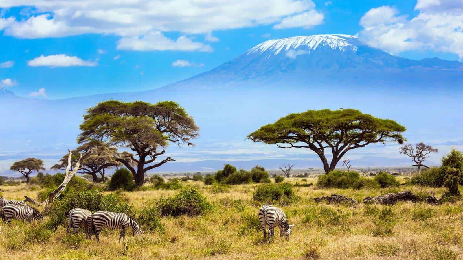 10 African Safaris That Go Beyond the Big Five 27 10 African Safaris That Go Beyond the Big Five