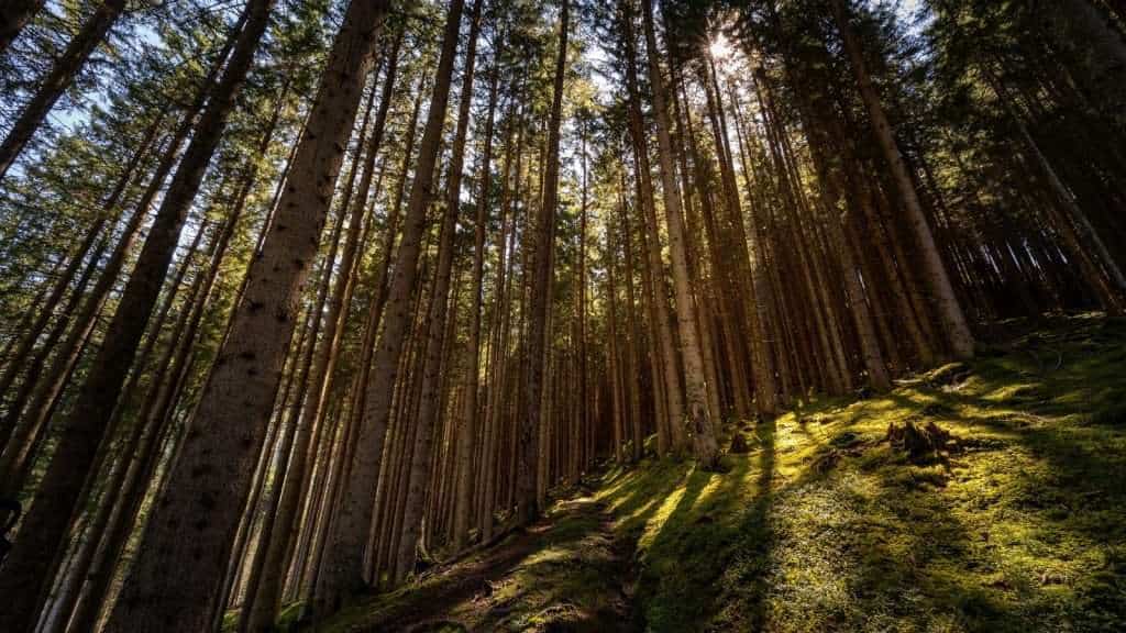 10 Secret European Escapes Where Locals Vacation 5 zell am see austria place