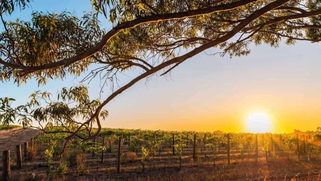 21 Rustic Countryside Retreats That Will Make You Want to Pack Your Bags 10 Barossa Valley Australia