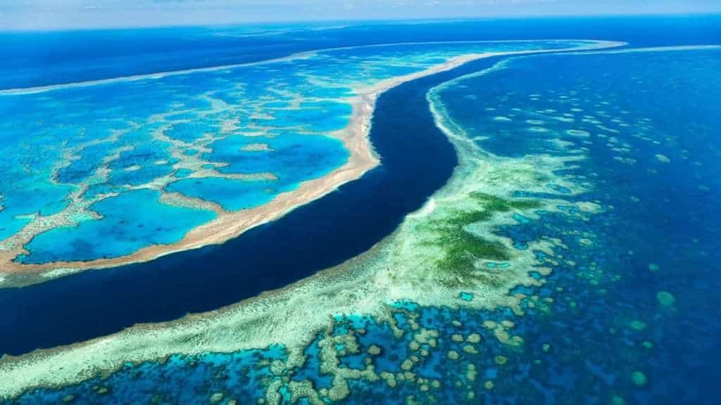 10 Surprising Details About Australia’s Great Barrier Reef 2 Barrier Reef