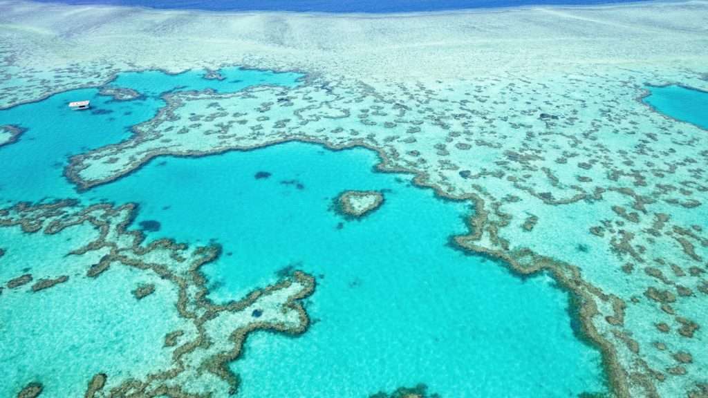 10 Surprising Details About Australia’s Great Barrier Reef 4 Great Barrier Reef