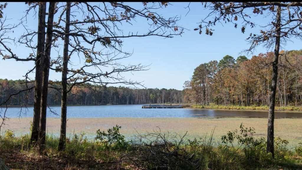 21 Forests With Unexplainable Rules Locals Actually Follow 8 Mark Twain National Forest Missouri