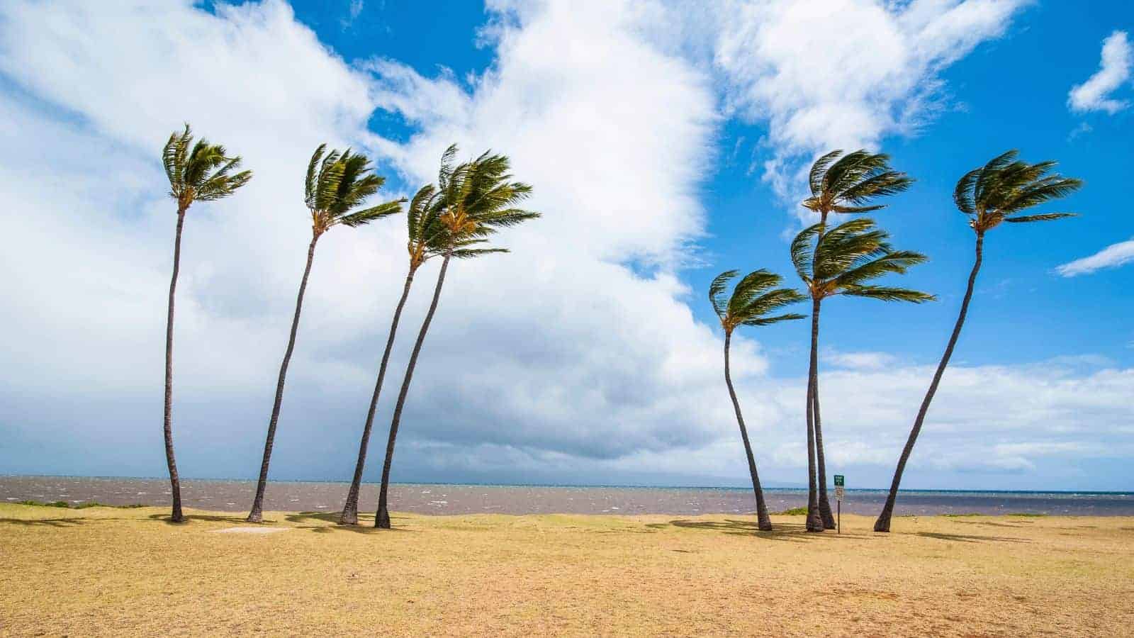 15 Remote U.S. Islands Where Locals Go to Unwind 13 Molokai Hawaii