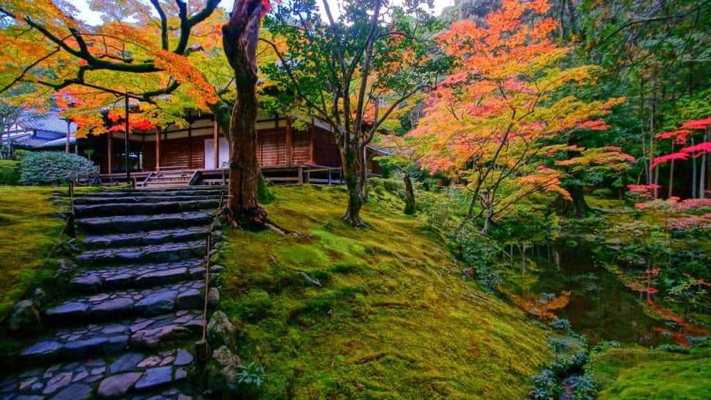 12 Secrets About Kyoto’s Temples and Gardens 4 Saiho jis Moss Garden
